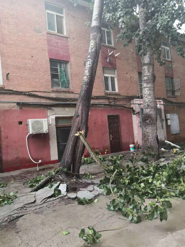 强化责任担当 积极应对强对流天气带来的影响